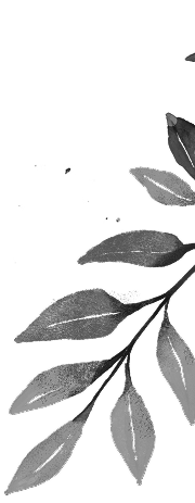 A hand-drawn collection of decorative leaves