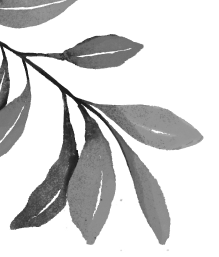 A hand-drawn collection of decorative leaves