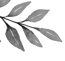 A hand-drawn collection of decorative leaves