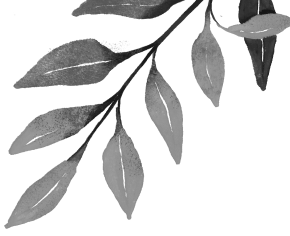 A hand-drawn collection of decorative leaves