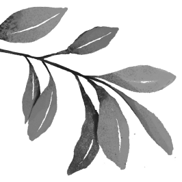 A hand-drawn collection of decorative leaves